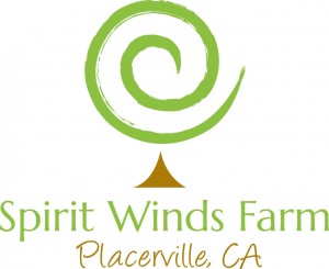 SpiritWinds_logo